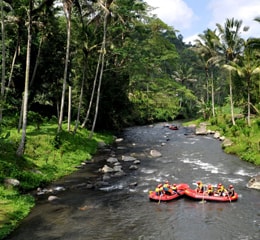 Rafting en el espectacular rio Ayung | Colombian Tourist