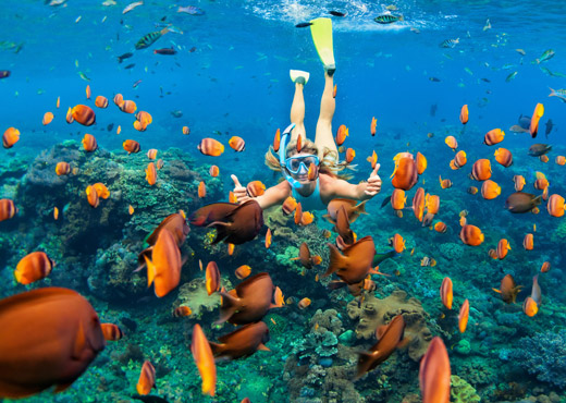 Mujer haciendo buceo en medio del oceano rodeada de peses naranjas