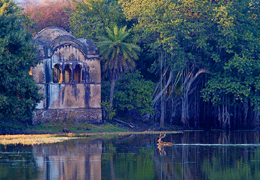 Ranthambore, India | Colombian Tourist