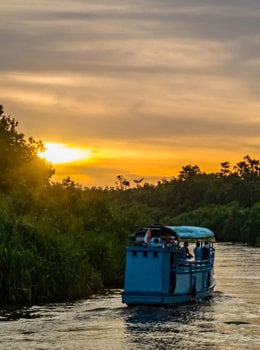 Klotok navegando en el río Sekonyer | Colombian Tourist