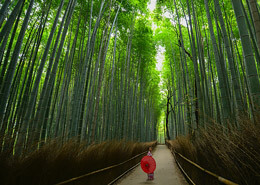 Mujer japonesa pasando por un puente colgante en medio de los bosques asiaticos