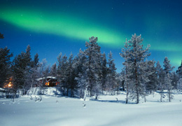 Aurora boreal en medio del bosque