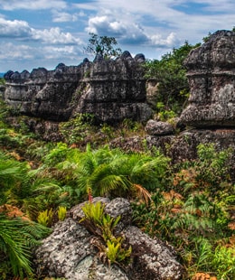 Parque Natural Sierra de la Macarena Colombia | Colombian Tourist