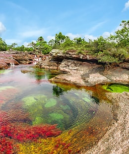 Caño cristales, el rio de los 1000 colores | Colombian Tourist