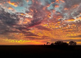 Espectacular amanecer llanero Colombia | Colombian Tourist