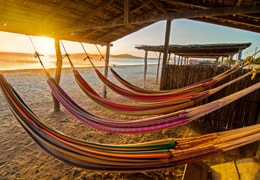 Amacas en la costa de la Guajira | Colombian Tourist