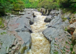 Estrecho Del Río Magdalena | Colombian Tourist