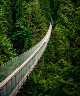 Puente colgante de Capilano con una longitud de 137 metros y 70 de altura