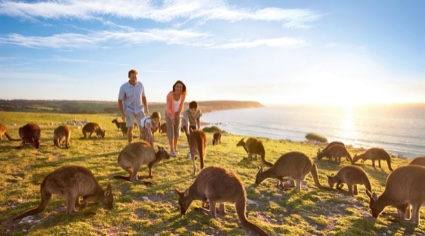 Foto de la isla kangaroo en Australia | Colombian Tourist