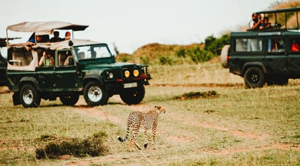 Safari en camionetas jeep | Colombian Tourist