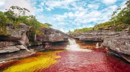 Río Caño Cristales Colombia | Colombian Tourist