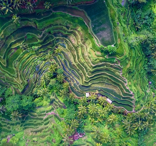 Indonesia | Colombian Tourist