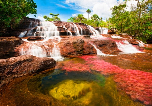 Caño cristales Colombia | Colombian Tourist