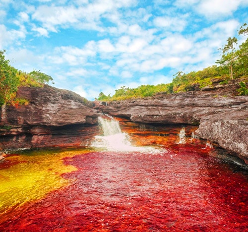 Caño Cristales Colombia | Colombian Tourist