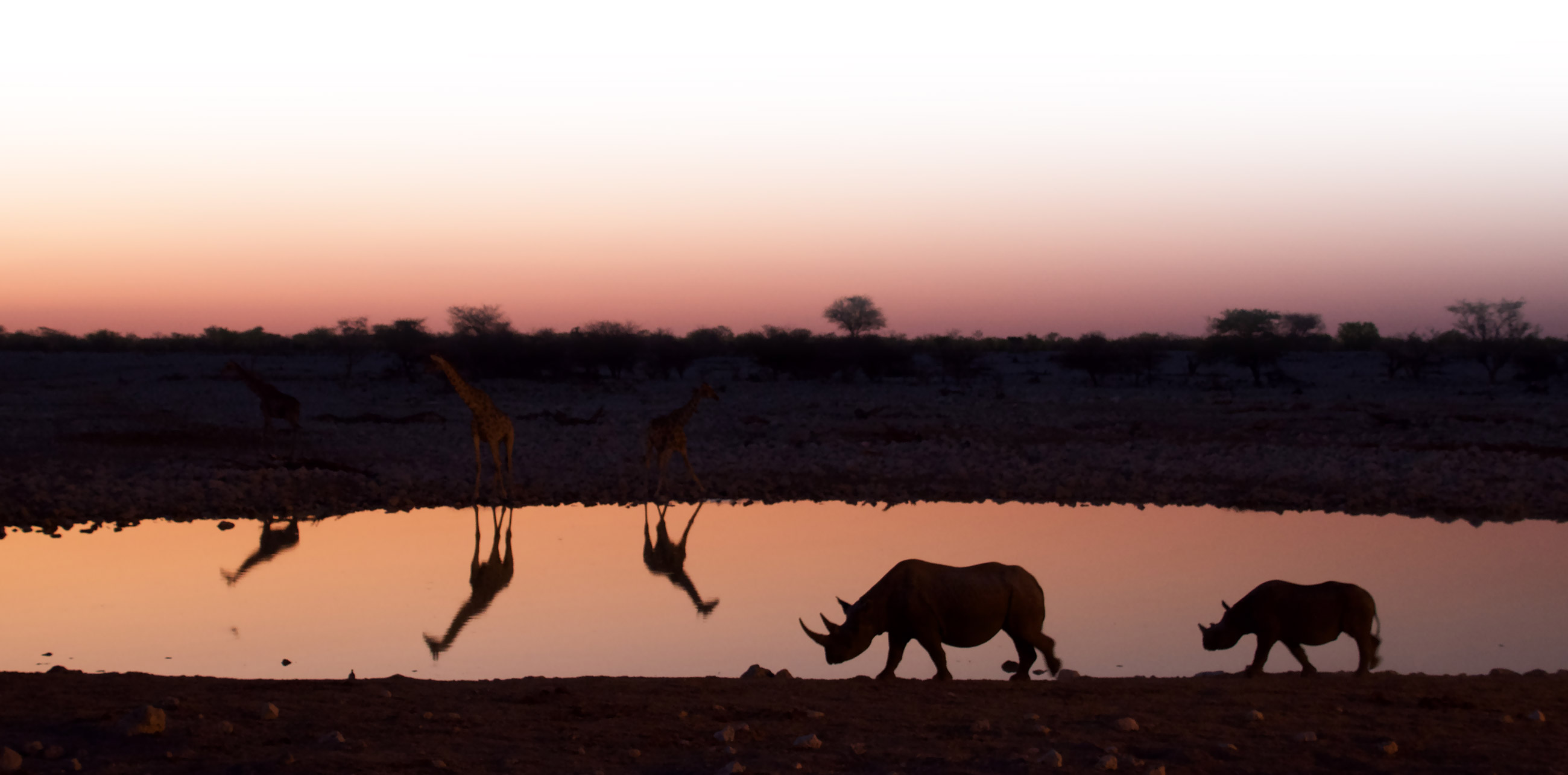 Atardecer en el desierto mas antiguo del mundo en Namibia | Colombian Tourist